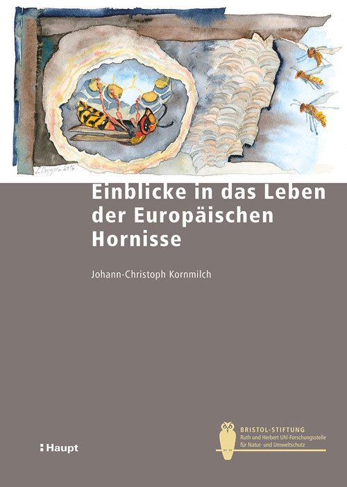 Johann-Christoph Kornmilch: Einblicke in das Leben der Europäischen Hornissen
